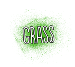 Grass